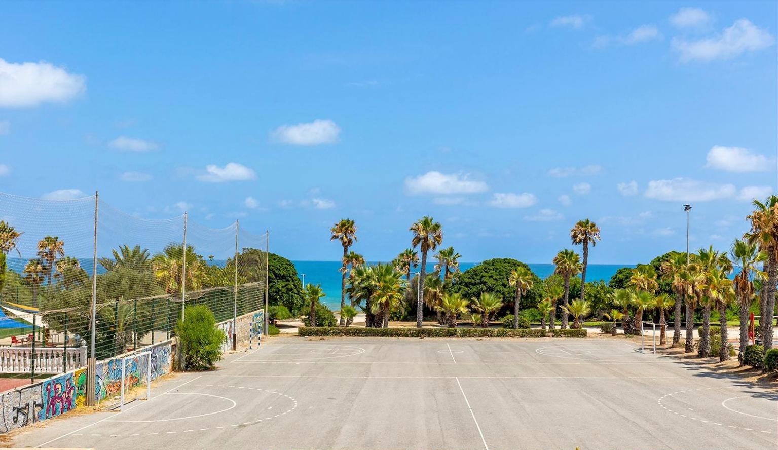 Sea view and palm-lined promenade nearby