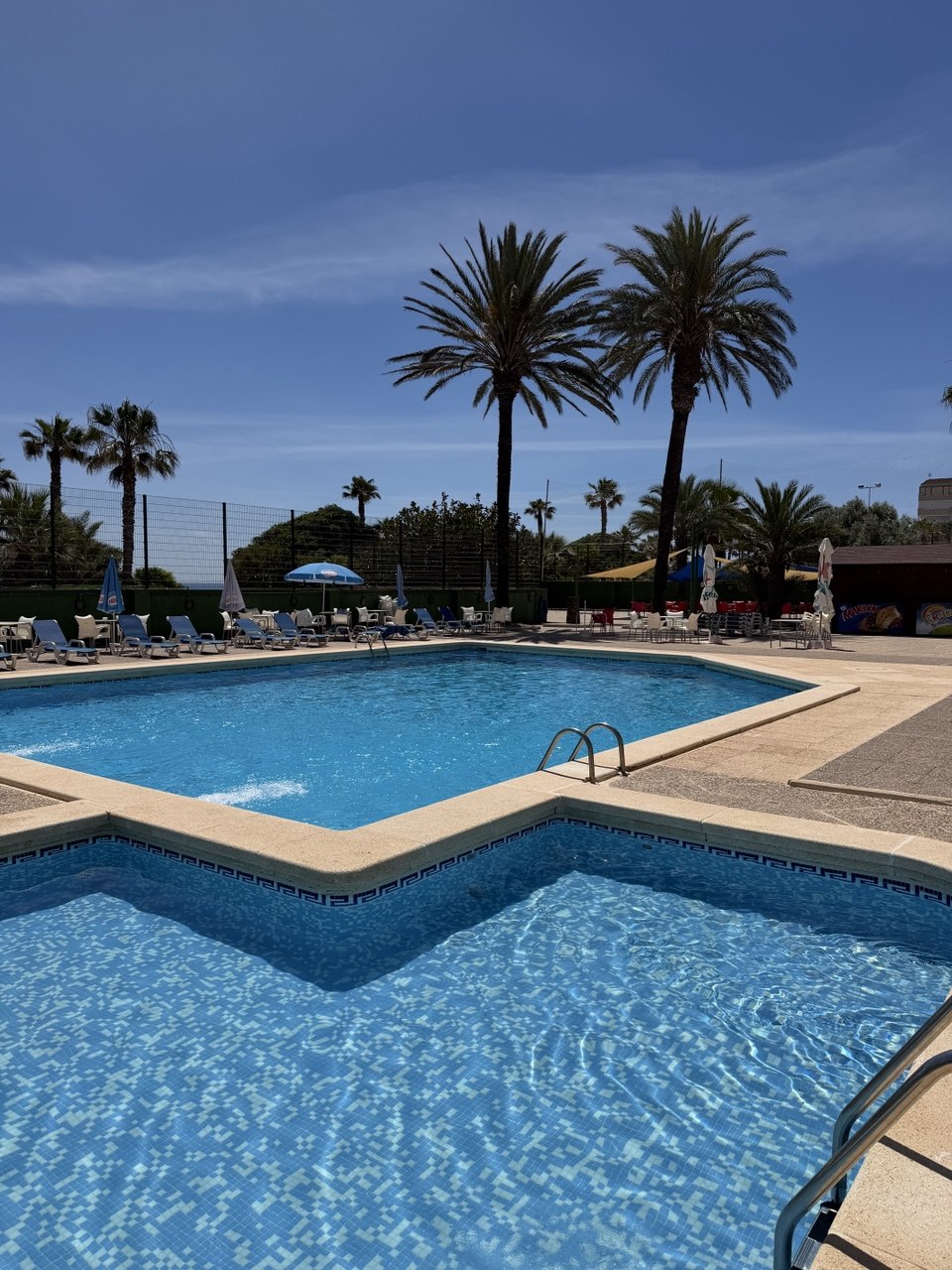 Outdoor swimming pool surrounded by palm trees